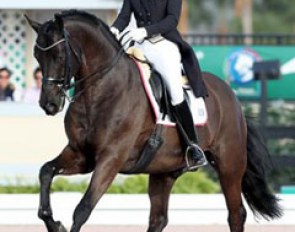 Susan Pape and Don Noblesse at the 2017 CDI-W Wellington