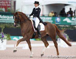 Susan Pape and Fiorano at the 2017 CDI Wellington :: Photo © Astrid Appels