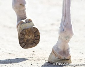 Interesting shoes