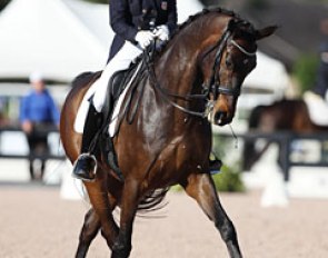 Betsy Steiner on Whitney Bailey's Baden Wurttemberger bred Swiss W