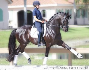 Lisa Wilcox and Hancock in Wellington, Florida :: Photo © Sara Hellner