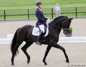 Belgian Bart Desender on Gestut Bonhomme's Morricone :: Photo © LL-foto