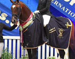 Gina Montgomery and Iresias L, champion of champions at the 2017 Australian Young Horse Championships :: Photo © Derek O'Leary