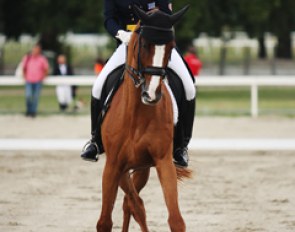 Christina Sachinoglou on Rafaello