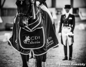 The 2017 CDI-W Zakrzow