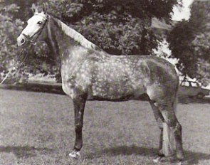 Antoinette in front of Neckermann's stable in 1963