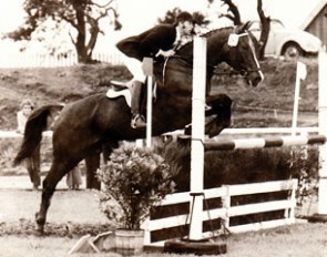Philipp Becker did quite some show jumping at the beginning of his riding career