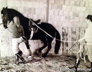 Christine Stuckelberger and Georg Wahl training the 5-year old Granat in hand for the piaffe