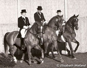 1977 European Championships: Schulten-Baumer on Slibowitz (bronze), Harry Boldt on Woyczek (silver), Christine Stuckelberger on Granat (gold)