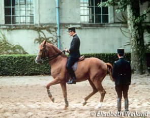 Christian Carde and Solitaire working at home at the Cadre Noir in Saumur
