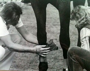 Ruth helping groom Claudia Rosner bandage Ahlerich