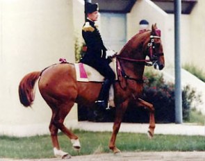 Cadre Noir rider Jean-Marie Donard on Juniste