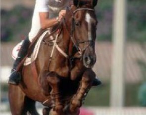 Ian Millar and Big Ben at the 1992 Olympic Games in Barcelona :: Photo © Dirk Caremans