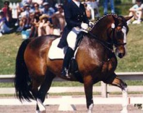 Carol Lavell and Gifted at the CDI in Wellington :: Photo © Mary Phelps