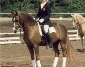Veronique de Baecker and Fuego at the 1994 CDN Grote Brogel :: Photo © Julien Appels