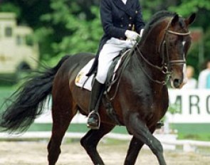 Mieke Lunskens and Abner at the 1994 CDI Schoten :: Photo © Dirk Caremans