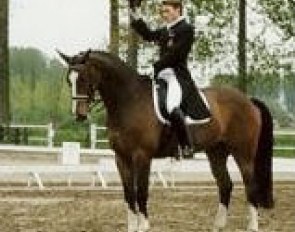 Frederik van de Keere on Heraldo at the national show in Alken
