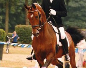Jorgen Olsen on Robin DVH