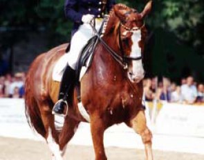Isabell Werth and Aleppo S OLD at the 1999 CDN Bad Honnef :: Photo © Mary Phelps