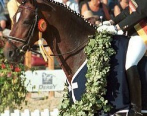 Don Larino, 3-year old Stallion Champion at the 1999 Bundeschampionate :: Photo © Steven Stegen