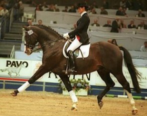 Coby van Baalen on Heruto at the KWPN Stallion Licensing in 's Hertogenbosch :: Photo © Astrid Appels