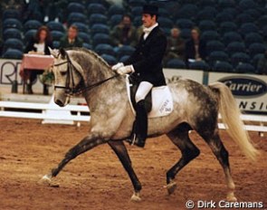 Wim Verwimp and Karsten van de Zuuthoeve at the 1999 Zwolle International Stallion Show :: Photo © Dirk Caremans