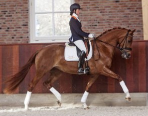 Your talented dressage horse in the 2016 Excellent Dressage Sales?!