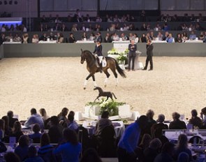 Mark your calendar for the 2016 Excellent Dressage Sales on 16 April 2016