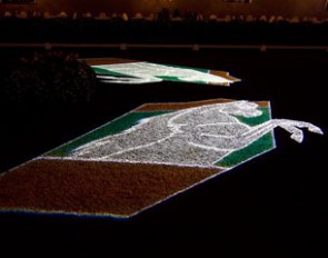 The Equine Elite logo projected on the footing of the indoor arena where the auction takes place