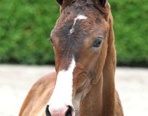 High Five (by Charmeur x Negro x Vincent)