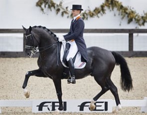 2010 World Champion Totilas (by Gribaldi x Glendale)