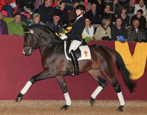 Sandokan (by Stallone Quainton x Lavall I)  :: Photo © Olav Krenz
