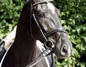 Deco, Price Highlight of the 2009 Munster Summer Auction