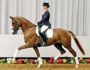 Schickeria, price highlight of the 2008 Munster Elite Auction