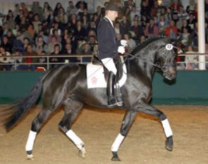 Sole Mio (by Show Star x Lamoureux II)