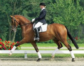 PSI Auction Horse Daily Mirror