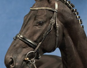 Dark Berry (by Don Primus x Diamond Hit)