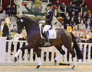 Isabel Freese on Fasine at the 2015 PSI Auction in Ankum, Germany :: Photo © Feldhaus