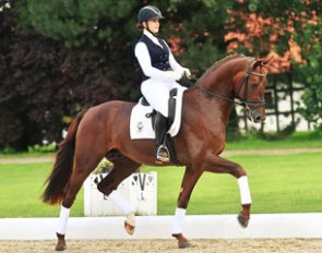 Nuit d'Or (by Negro x Sir Donnerhall I x Diamond Hit)