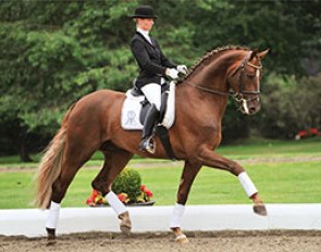 Sir Caramello (by Sir Donnerhall I x Feiner Stern)