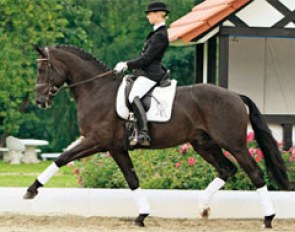 Eva Möller aboard PSI auction horse St. Emilion