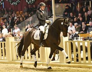 Zum Glück, price highlight of the 2017 PSI Auction in Ankum :: Photo © Feldhaus