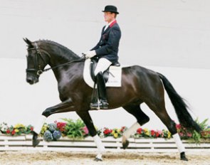 Desperado, Price Highlight of the 2007 Oldenburg Autumn Elite Auction