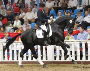 Heiko Klausing and Di Magic at the 2011 Vechta Autumn Elite Auction :: Photo © Tammo Ernst