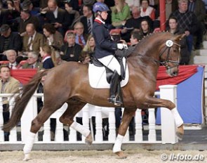 Kira Wulferding on Jazzmate at the 2013 Oldenburg Spring Elite Auction :: Photo © LL-foto.de