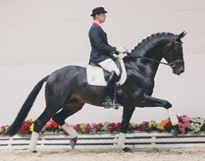 Statesman sets a new record knock down price in Vechta