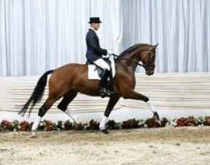 Brentana at the Hanoverian Elite Auction. She's been renamed into Breanna