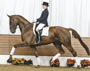 Dante's Peak (by Dimaggio x Wolkentanz I)