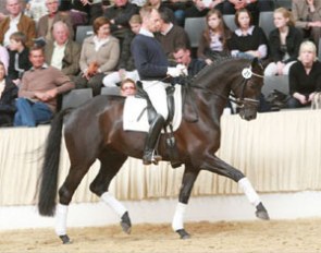 Sirius Black, Price Highlight of the 2009 Verden May Auction