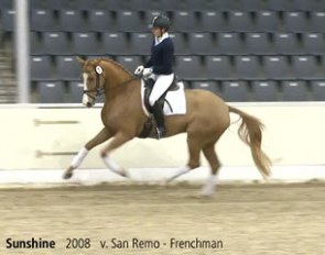 Sunshine (by San Remo x Frenchman)